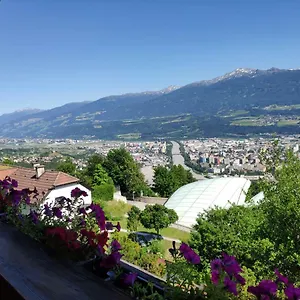 Alpendohle , Innsbruck Österreich